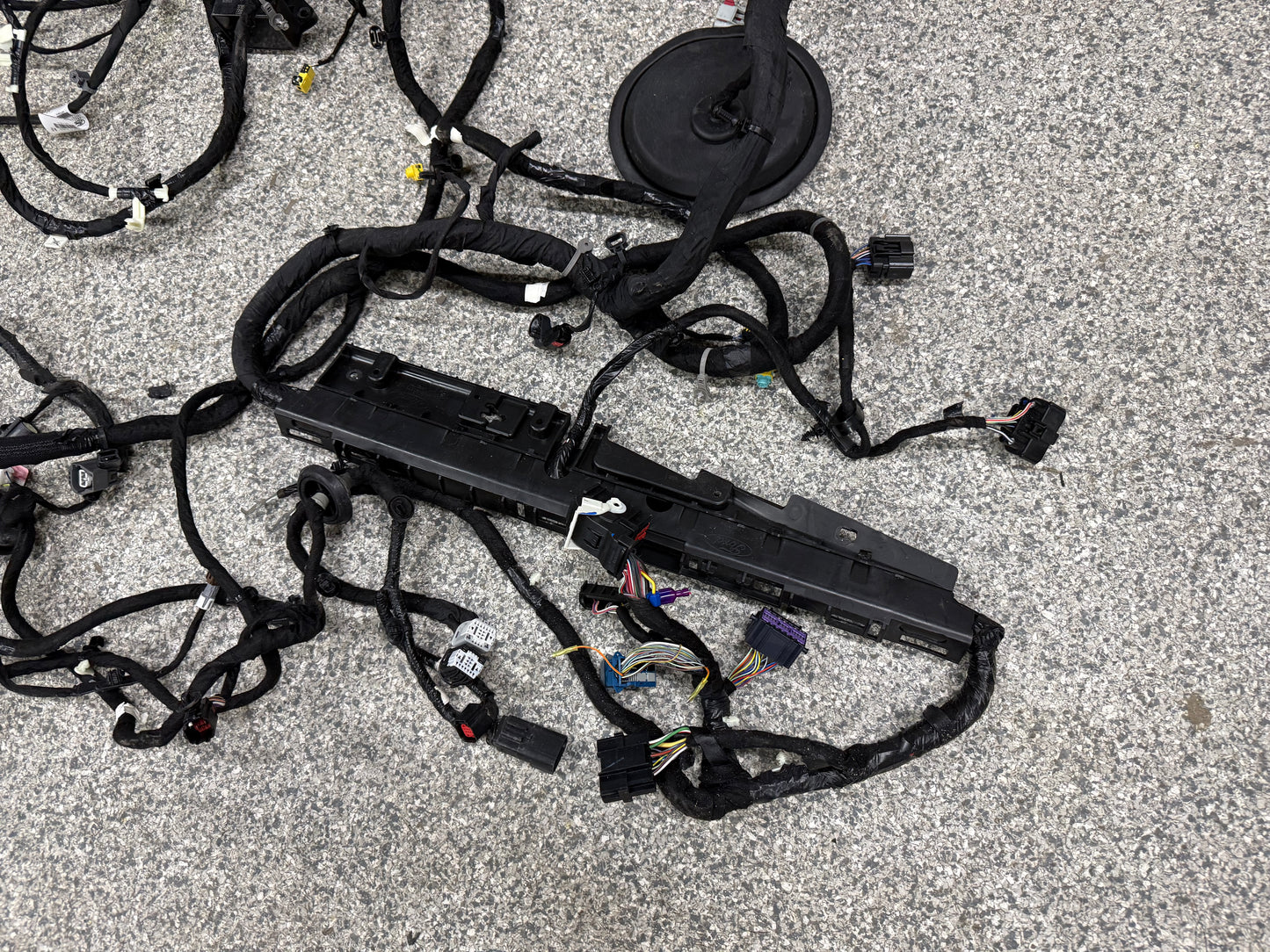 2024-2026 Ford Mustang GT Coupe Body Wiring "PR3T-14A005-CBLB"