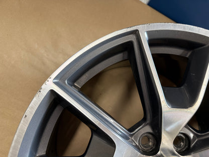 2015-2023 Ford Mustang GT 5.0 19x9.5" Wheel Rim 50th Anniversary