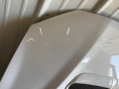 2018-2023 Ford Mustang GT Hood Vents Heat Blanket "YZ"