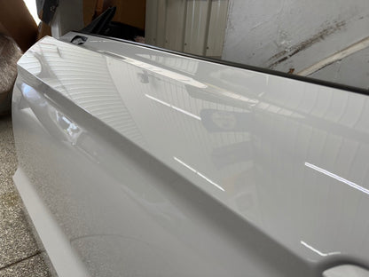 2015-2023 Ford Mustang GT GT500 LH Driver Side Door Complete w/Glass "YZ"