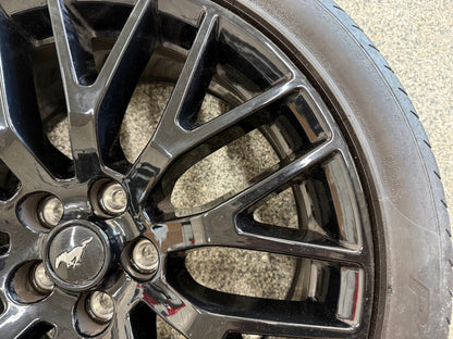 2015-2023 Mustang GT 5.0 19x9" Wheel Rim PP1 Rear 255/40/19 Pirelli