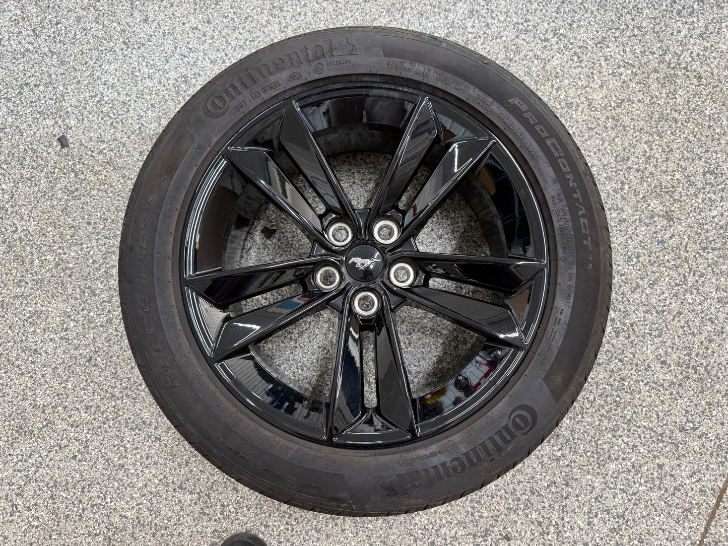 2024-2026 Ford Mustang GT 5.0 18x8.5" Wheel Rim Continental 255/45/18