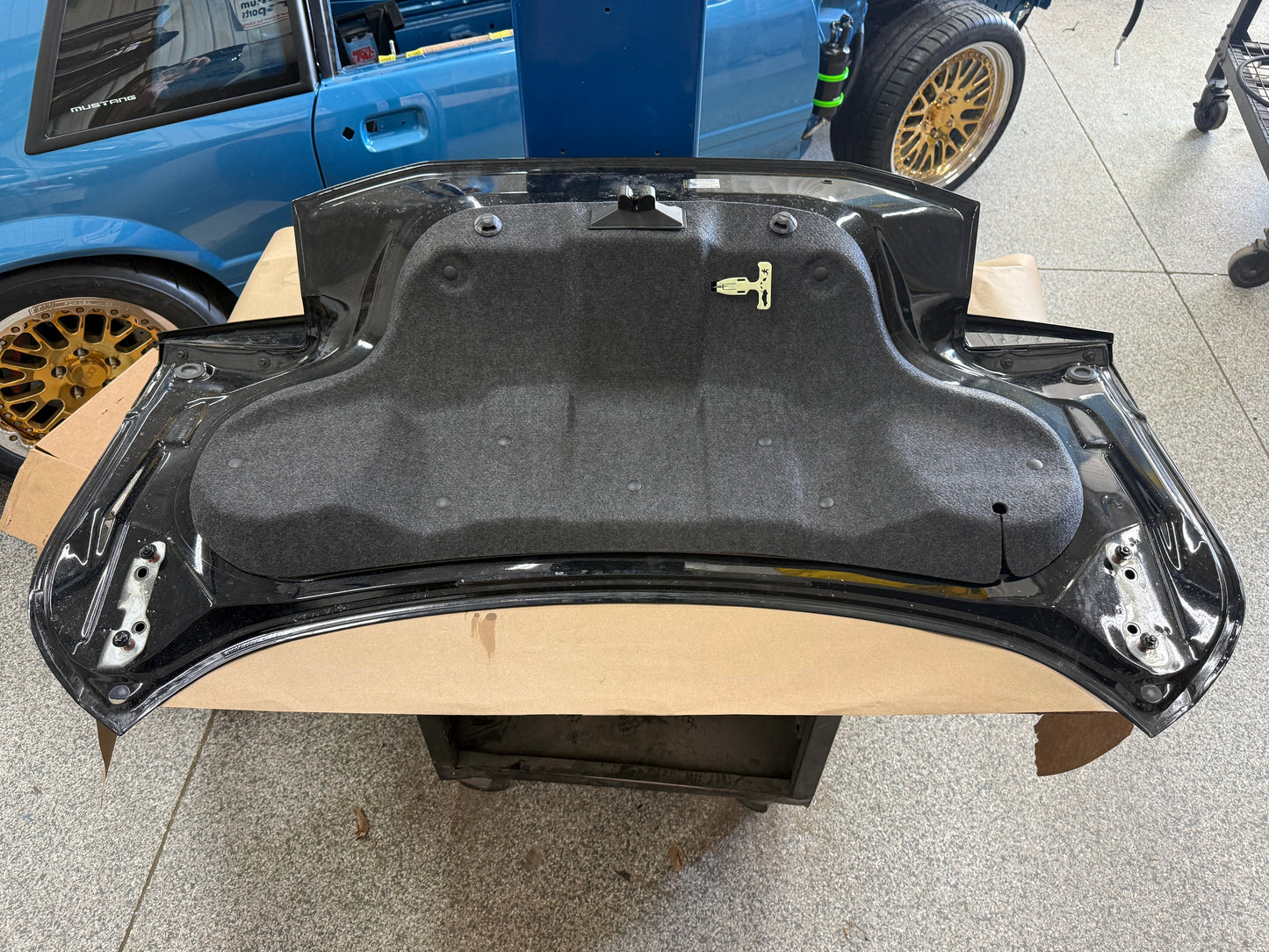 2024-2026 Ford Mustang GT Dark Horse Coupe Trunk Lid "Black"