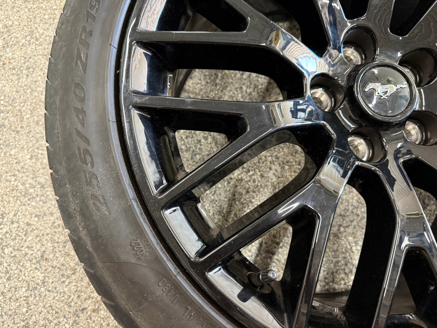 2015-2023 Mustang GT 5.0 19x9" Wheel Rim PP1 Rear 255/40/19 Pirelli