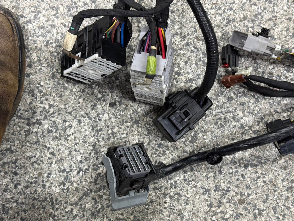 2024-2026 Ford Mustang GT 5.0L Engine Bay Wiring Harness "Automatic"