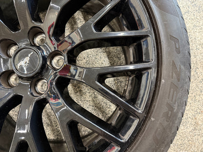 2015-2023 Mustang GT 5.0 19x9" Wheel Rim PP1 Rear 255/40/19 Pirelli