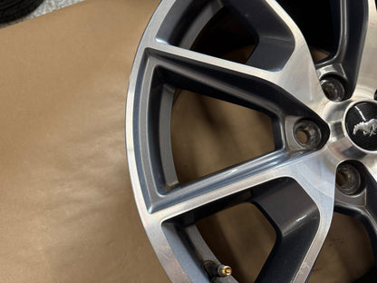 2015-2023 Ford Mustang GT 5.0 19x9" Wheel Rim 50th Anniversary