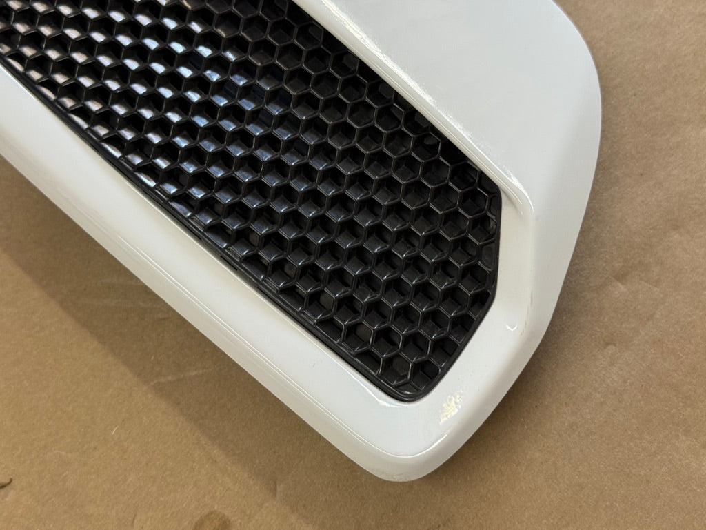 2018-2023 Ford Mustang GT 5.0 Hood Insert Vents RH LH Pair "YZ"