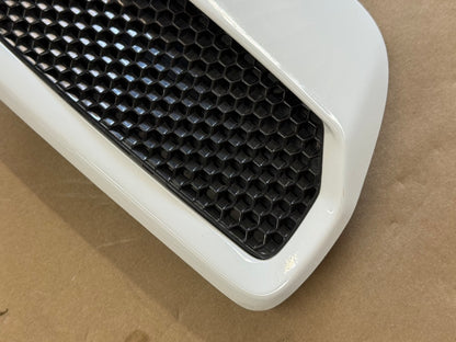 2018-2023 Ford Mustang GT 5.0 Hood Insert Vents RH LH Pair "YZ"