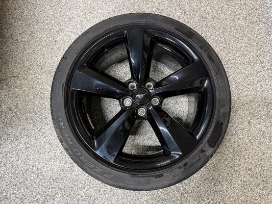 2015-2023 Ford Mustang GT 5.0 19x8.5" Wheel Rim 255/40/19 Pirelli Tire