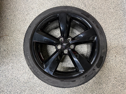 2015-2023 Ford Mustang GT 5.0 19x8.5" Wheel Rim 255/40/19 Pirelli Tire