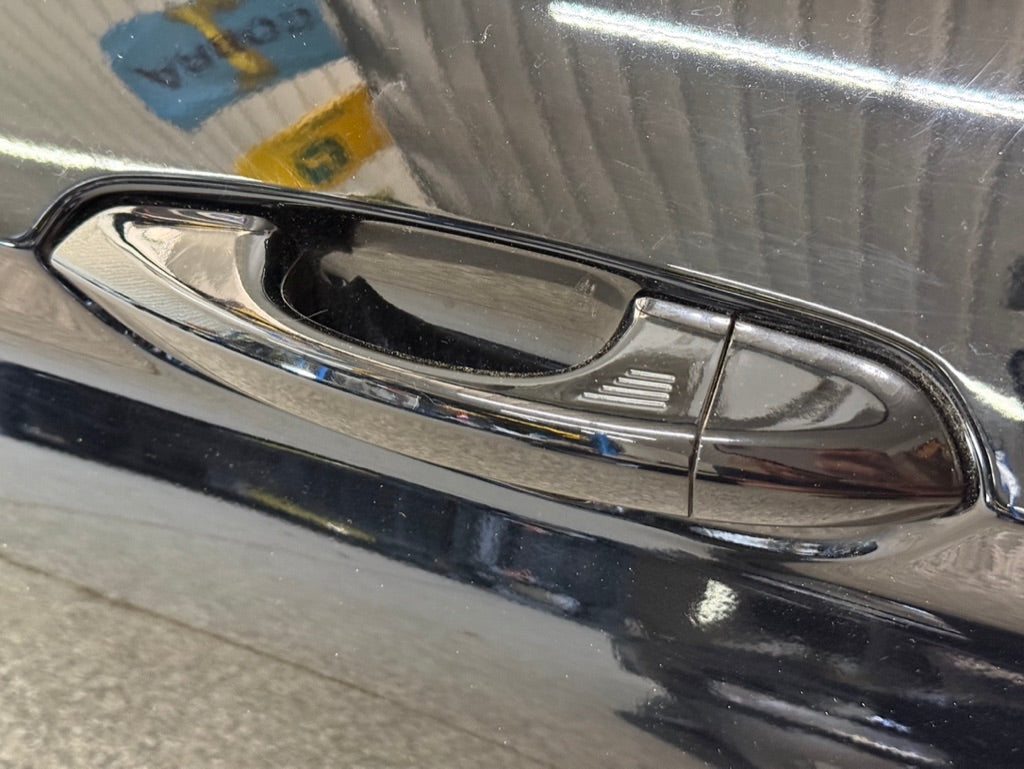 2015-2023 Ford Mustang GT GT500 LH Driver Side Door Complete w/Glass "G1"