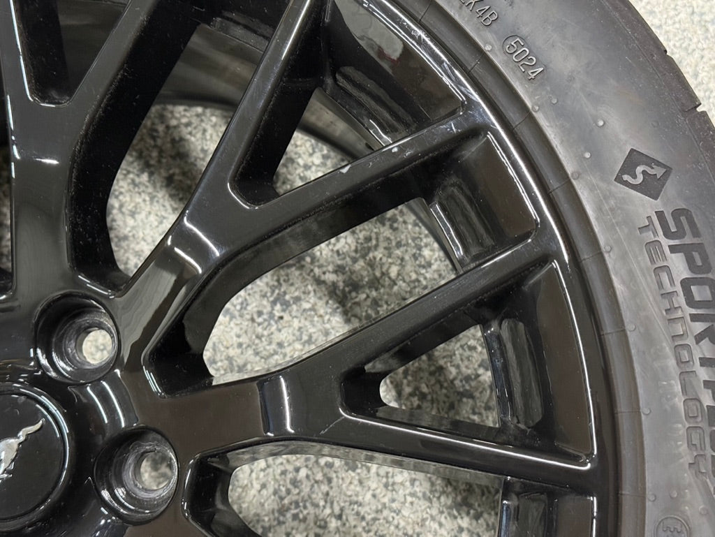 2015-2023 Mustang GT 5.0 19x9.5" Wheel Rim PP1 Rear 275/40/19 Continental