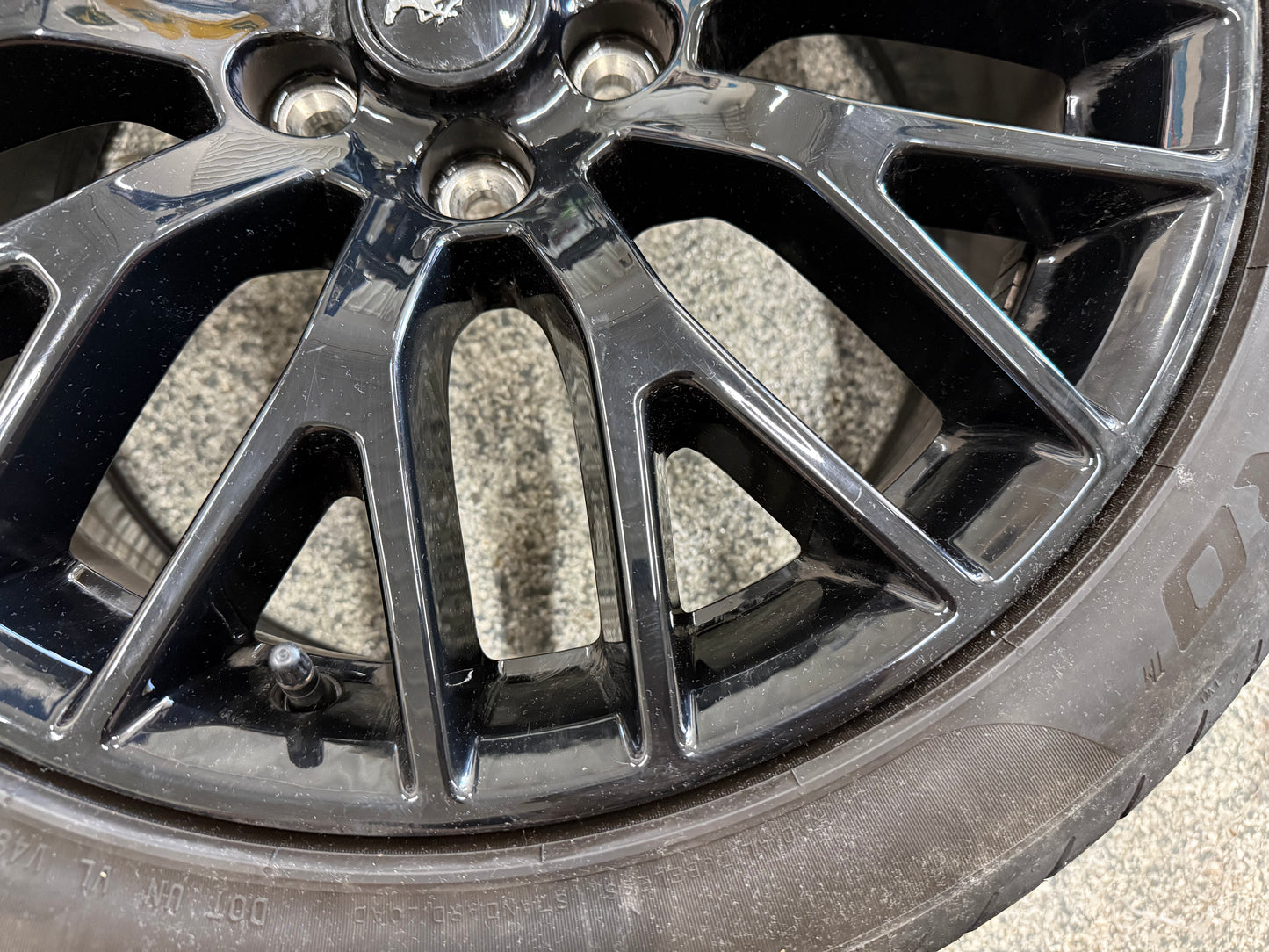 2015-2023 Mustang GT 5.0 19x9" Wheel Rim PP1 Rear 255/40/19 Pirelli