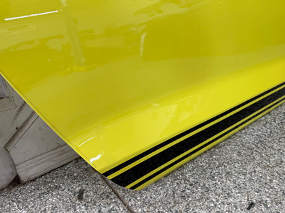 2015-2023 Ford Mustang GT GT500 RH Passenger Side Door Complete w/Glass "CB"