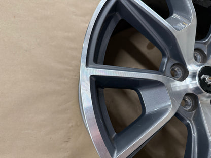 2015-2023 Ford Mustang GT 5.0 19x9" Wheel Rim 50th Anniversary