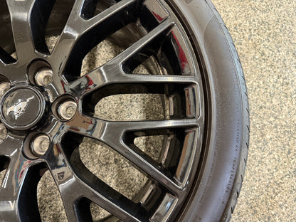 2015-2023 Mustang GT 5.0 19x9" Wheel Rim PP1 Rear 255/40/19 Pirelli