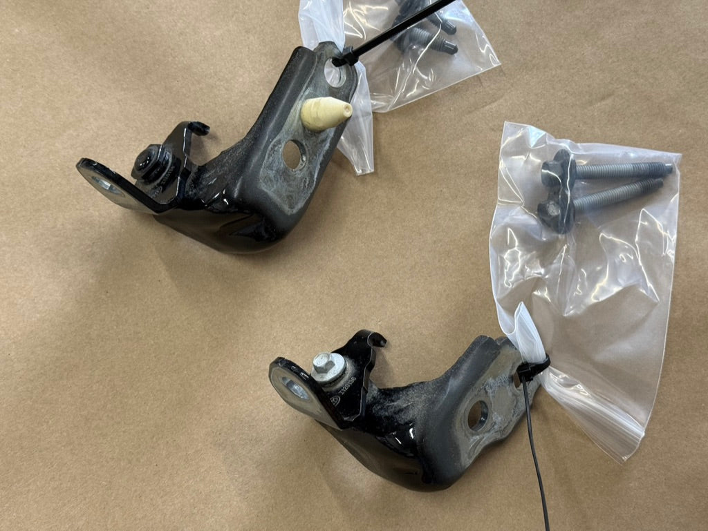 2024-2026 Ford Mustang Door Hinges LH Driver Side Upper Lower "G1"
