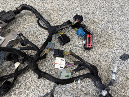 2024-2026 Ford Mustang GT Coupe Body Wiring "PR3T-14A005-DAAE"