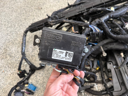 2024-2026 Ford Mustang GT Coupe Body Wiring "PR3T-14A005-LAAE"