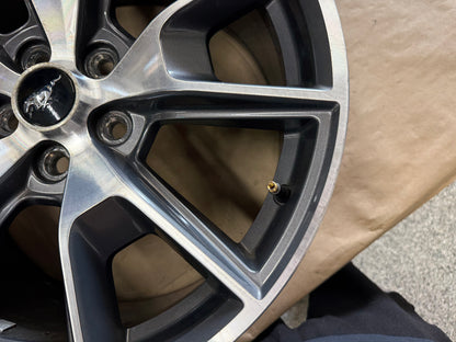 2015-2023 Ford Mustang GT 5.0 19x9.5" Wheel Rim 50th Anniversary