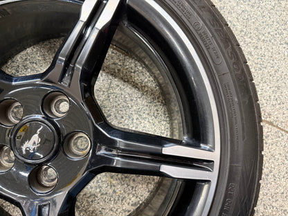 2015-2023 Ford Mustang California Special 19x8.5" Wheel Rim 255/40/19 Fortune