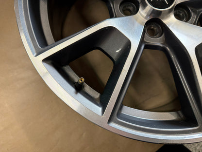 2015-2023 Ford Mustang GT 5.0 19x9" Wheel Rim 50th Anniversary