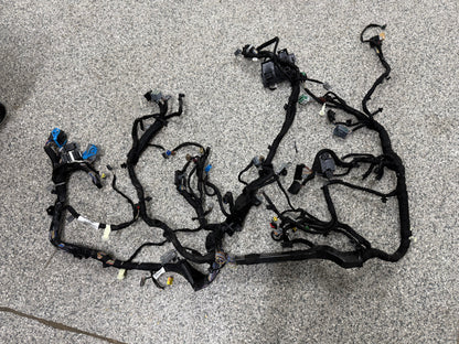 2024-2026 Ford Mustang GT Dash Wiring Harness "PR3T-14401-EF"