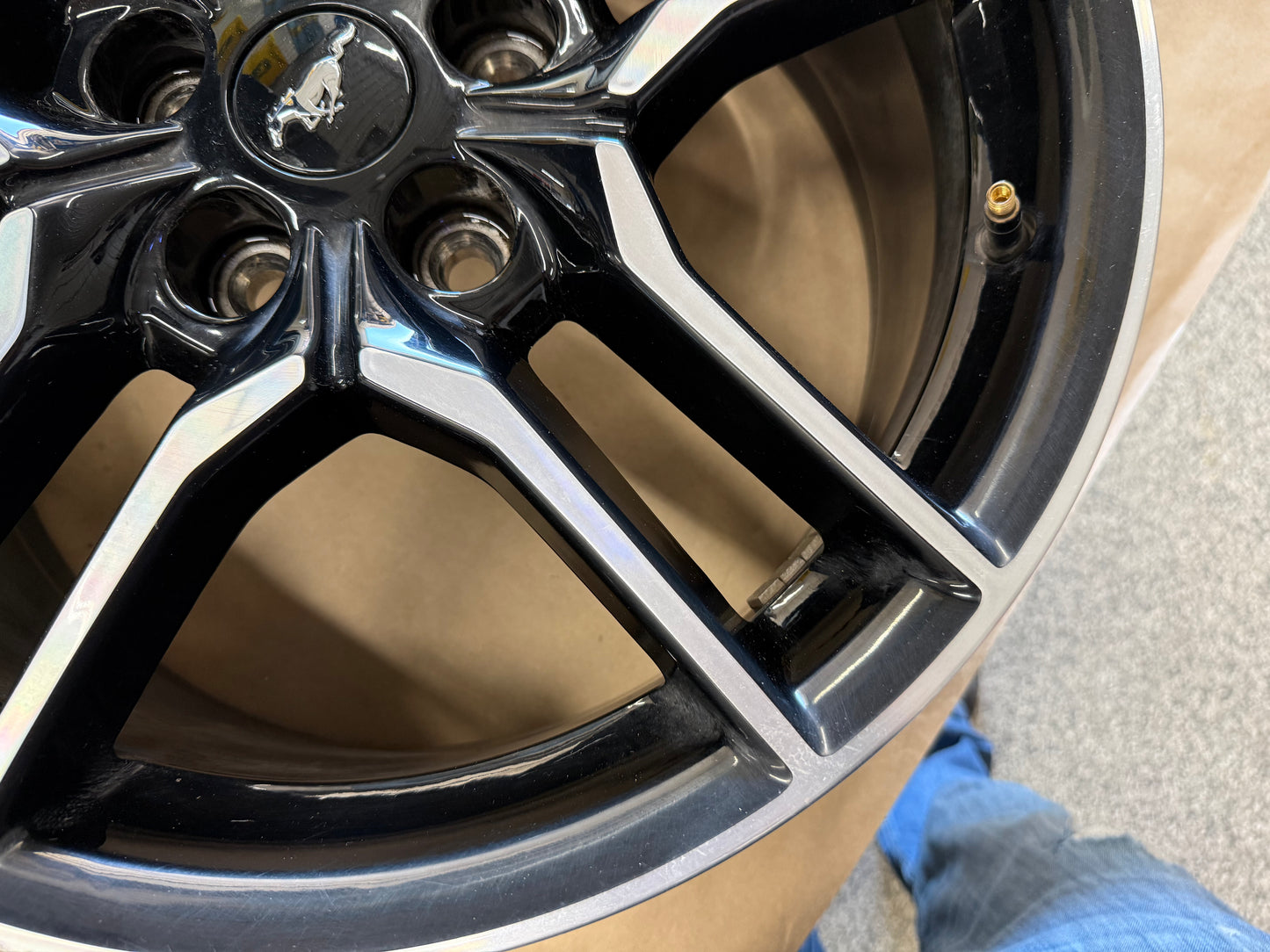 2015-2023 Ford Mustang GT 5.0 18x8" Wheel Rim