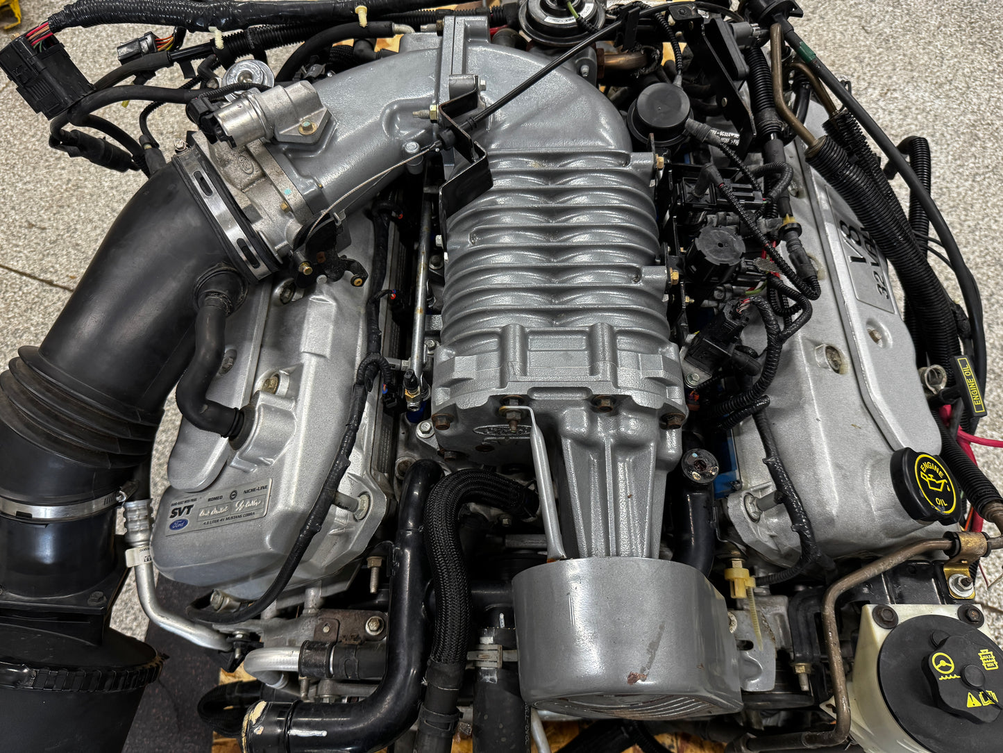 2003 Mustang Cobra SVT Supercharged 4.6 DOHC Engine Drivetrain T 56 Transmission 50k Miles