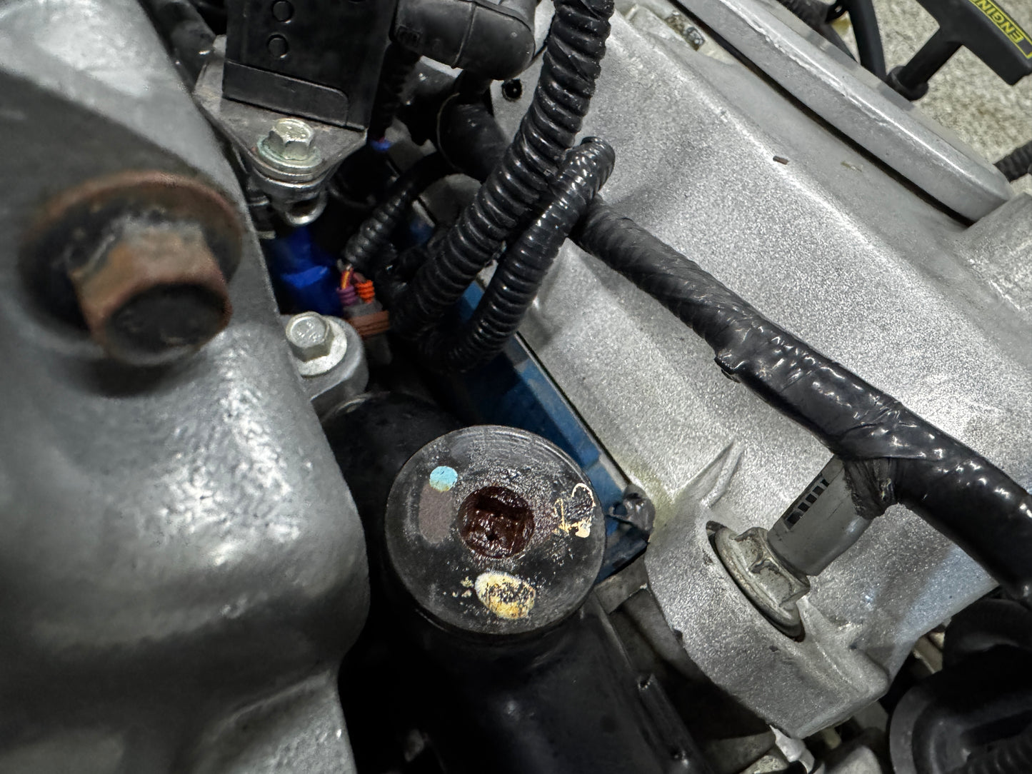 2003 Mustang Cobra SVT Supercharged 4.6 DOHC Engine Drivetrain T 56 Transmission 50k Miles