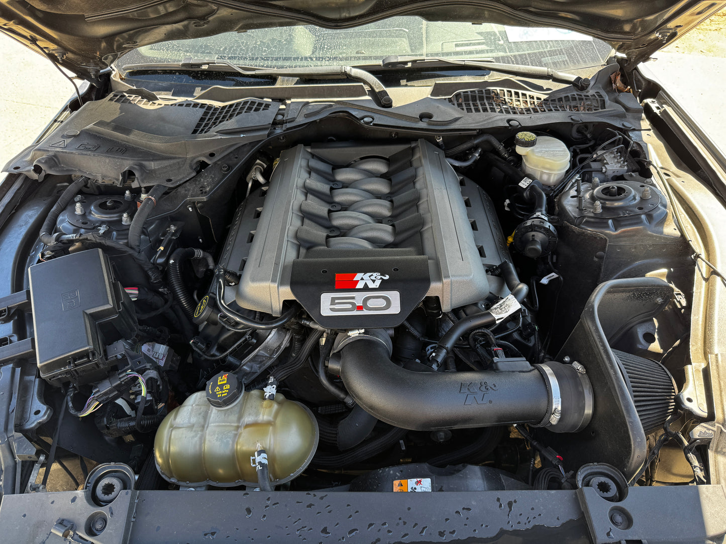 2017 Mustang 5.0 Coyote Gen 2 Engine Drivetrain 6R80 Auto Transmission