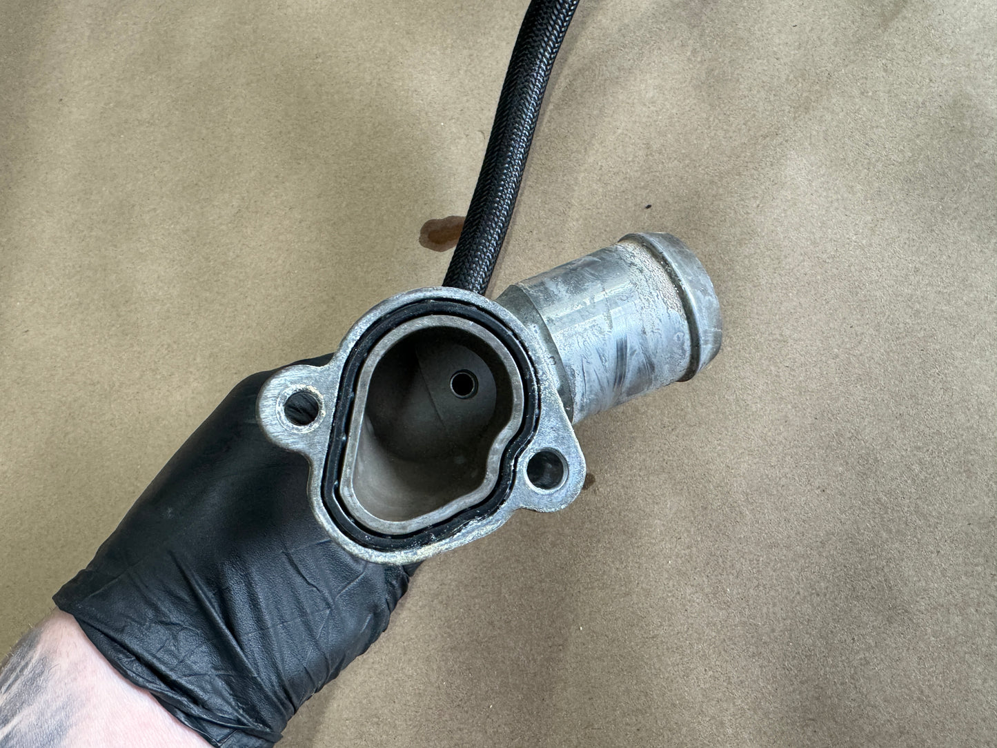 2011-2023 Mustang GT 5.0L V8 Water Neck with hose - OEM