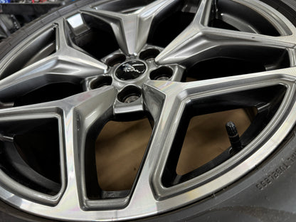 2024-2026 Ford Mustang GT 5.0 19x9" Wheel Rim Pirelli 255/40/19 OEM