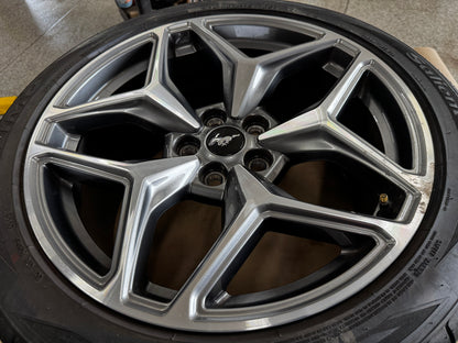 2024-2026 Ford Mustang GT 5.0 19x9.5" Wheel Rim Salient 275/40/19 OEM