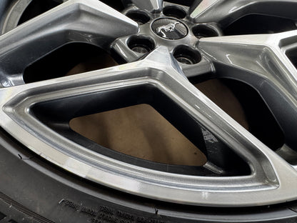 2024-2026 Ford Mustang GT 5.0 19x9.5" Wheel Rim Salient 275/40/19 OEM