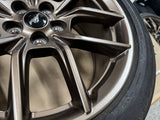 2024 Ford Mustang GT 5.0 19x8.5" Wheel Rim Bronze Continental 255/40/19 OEM