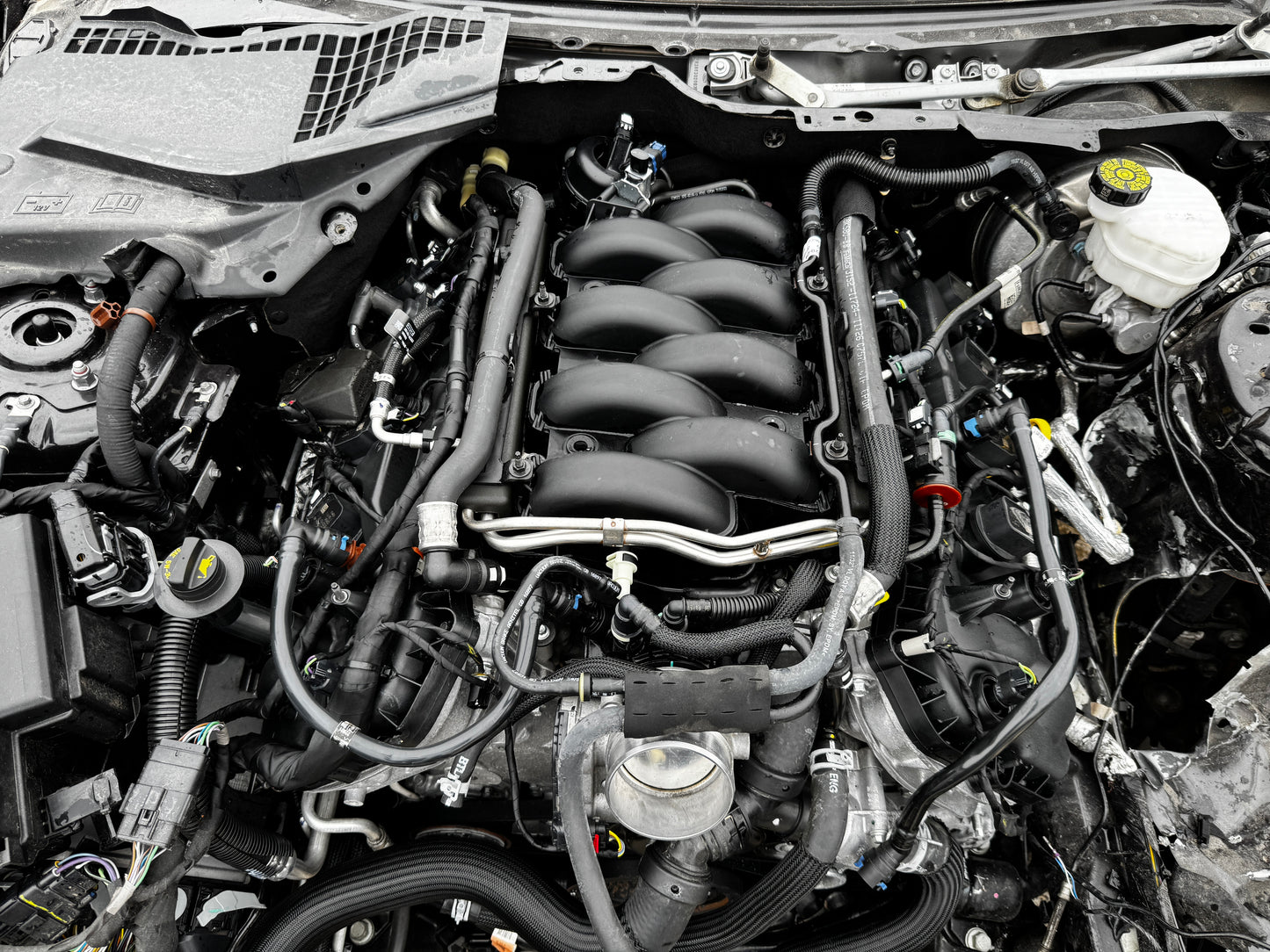 2023 Mustang 5.0 Coyote Gen 3 Engine Drivetrain 10R80 Automatic Auto 28k miles