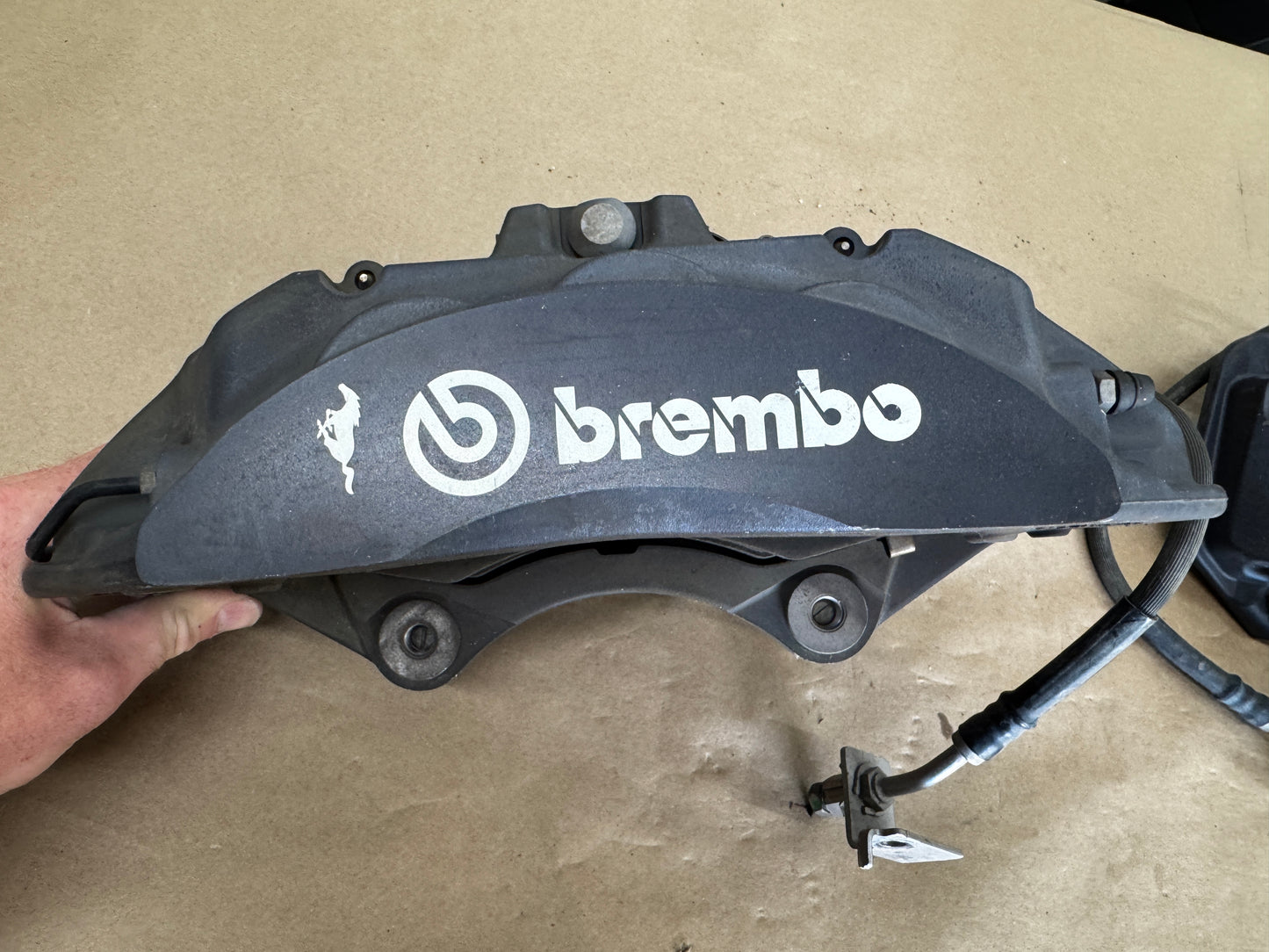 2024-2026 Ford Mustang Dark Horse 6 Piston Front Brake Calipers OEM Brakes