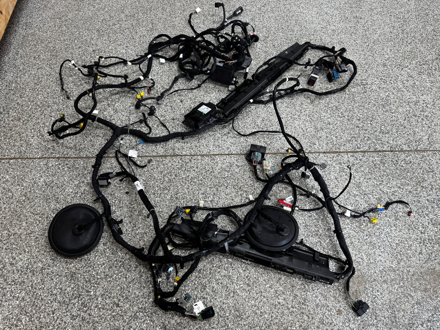 2024-2026 Ford Mustang GT Coupe Body Wiring "PR3T-14A005-CCLB