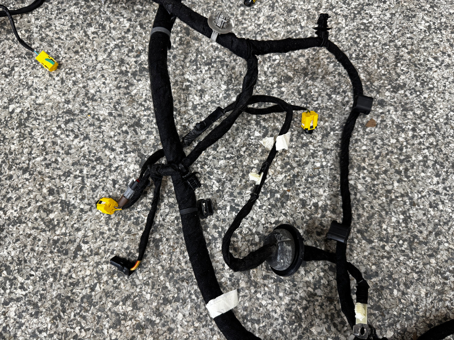 2024-2026 Ford Mustang GT Coupe Body Wiring "PR3T-14A005-CCLB