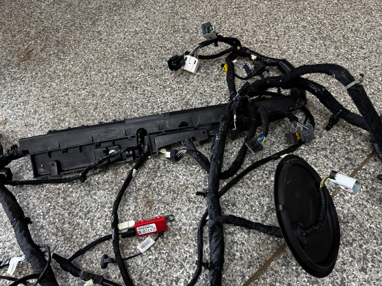 2024-2026 Ford Mustang GT Coupe Body Wiring "PR3T-14A005-CCLB