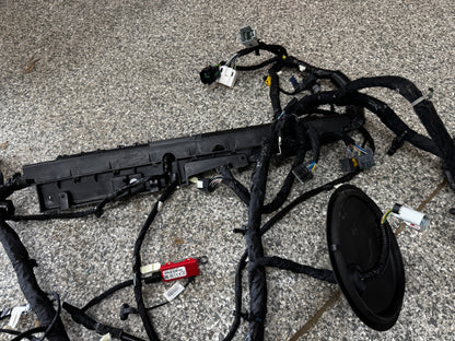 2024-2026 Ford Mustang GT Coupe Body Wiring "PR3T-14A005-CCLB