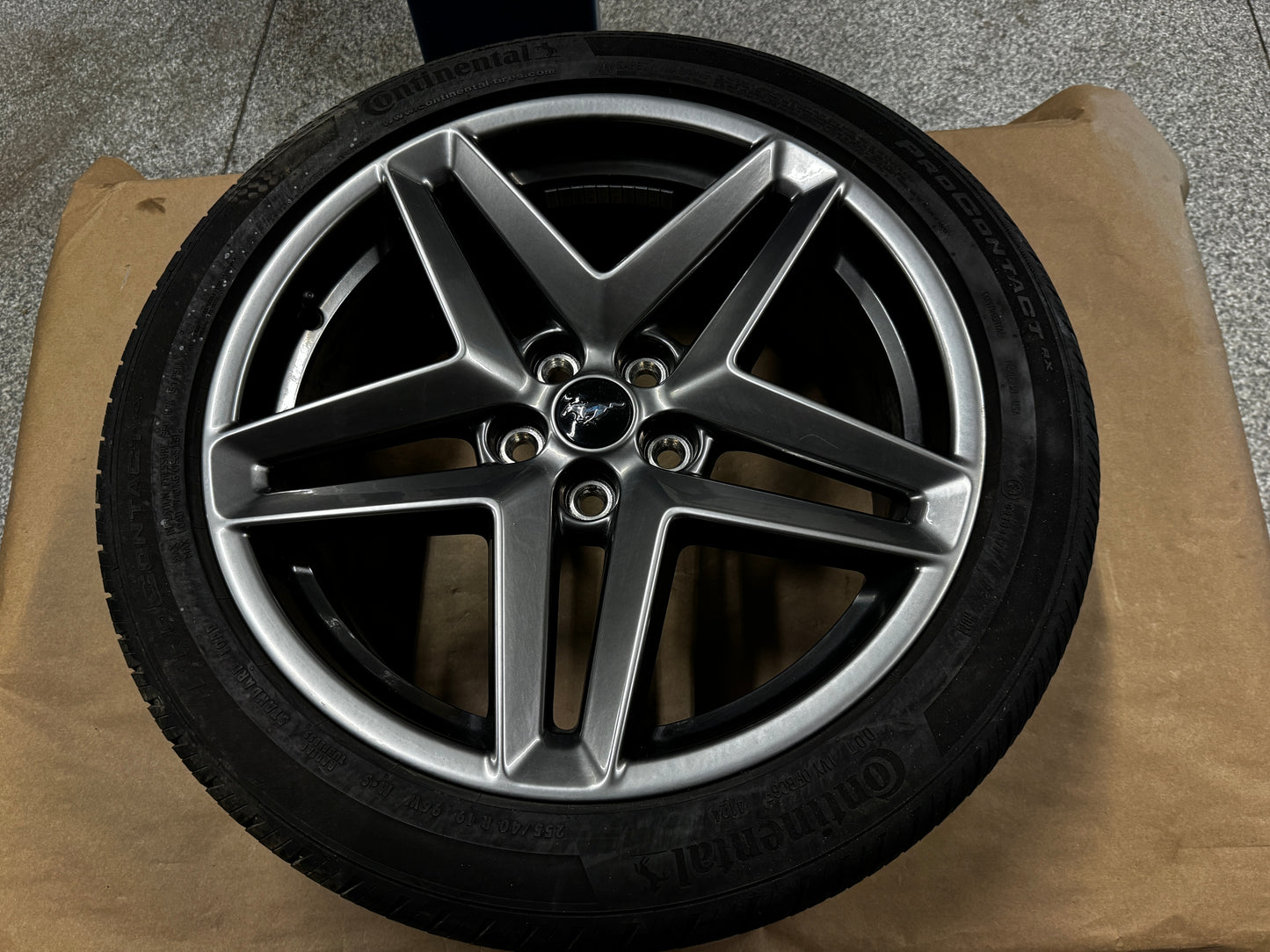 2024-2026 Ford Mustang GT 5.0 19x8.5" Wheel Rim Continental 255/45/19 - OEM
