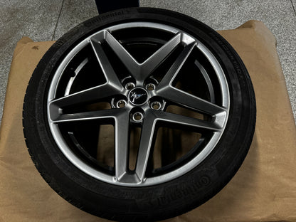2024-2026 Ford Mustang GT 5.0 19x8.5" Wheel Rim Continental 255/45/19 - OEM