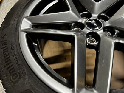2024-2026 Ford Mustang GT 5.0 19x8.5" Wheel Rim Continental 255/45/19 - OEM