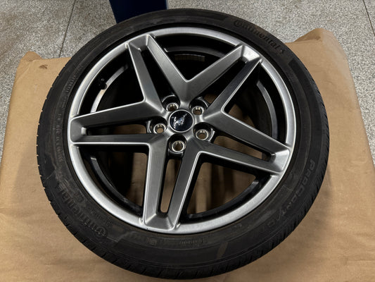 2024-2026 Ford Mustang GT 5.0 19x8.5" Wheel Rim Continental 255/45/19 - OEM