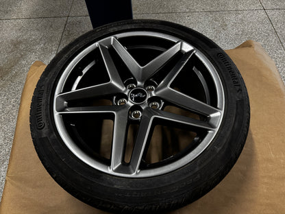 2024-2026 Ford Mustang GT 5.0 19x8.5" Wheel Rim Continental 255/45/19 - OEM