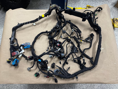 2024-2026 Ford Mustang GT Dash Wiring Harness "TR3T-14401-AC" - OEM