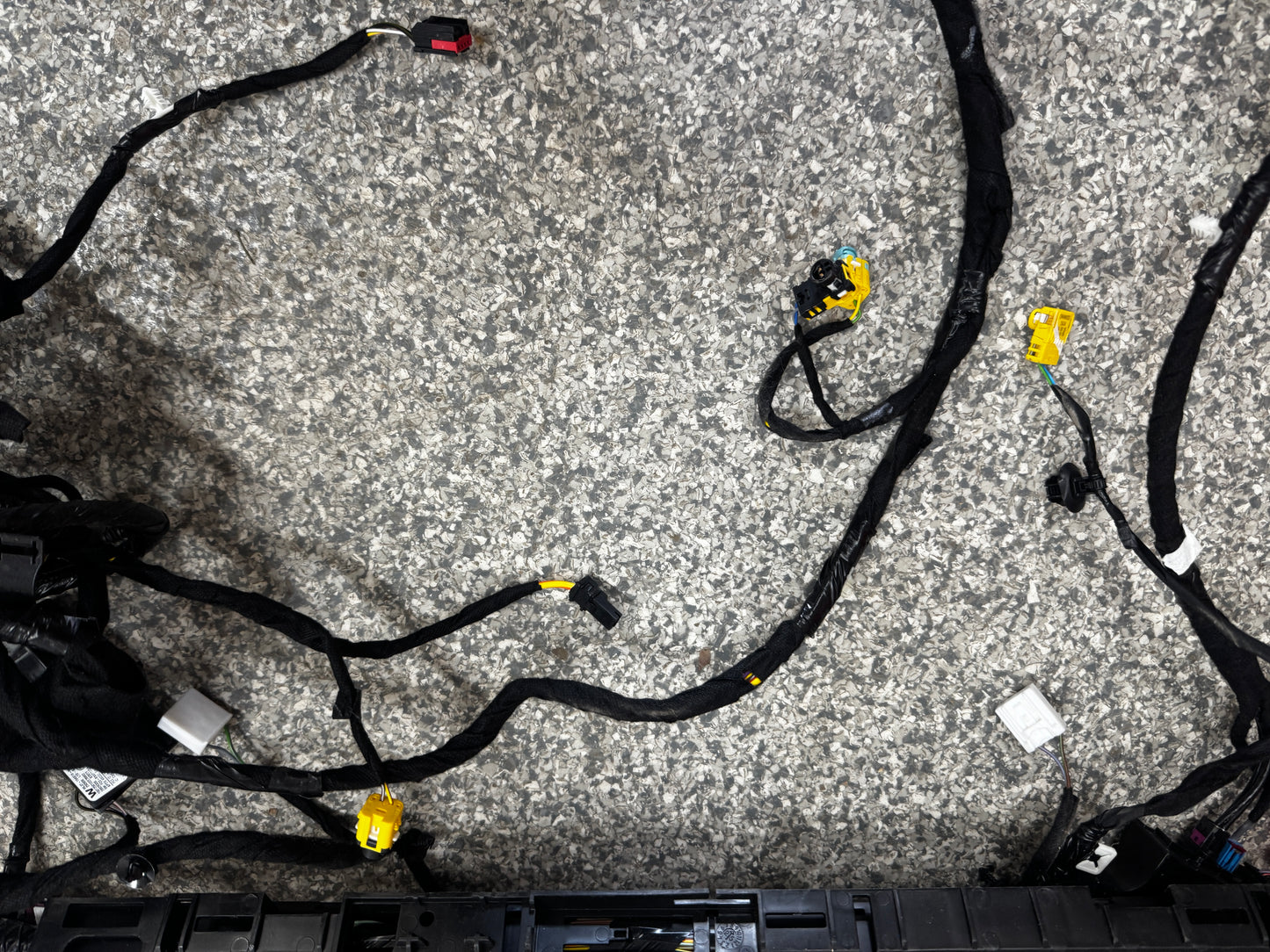 2024-2026 Ford Mustang GT Coupe Body Wiring "TR3T-14A005-LCLD